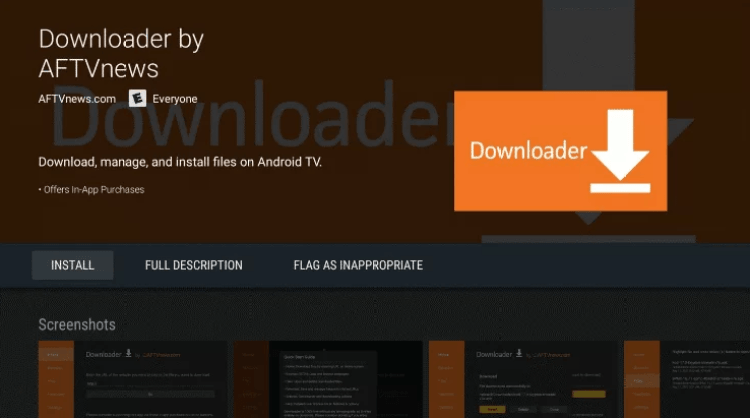Downloader application listing page showing the install button